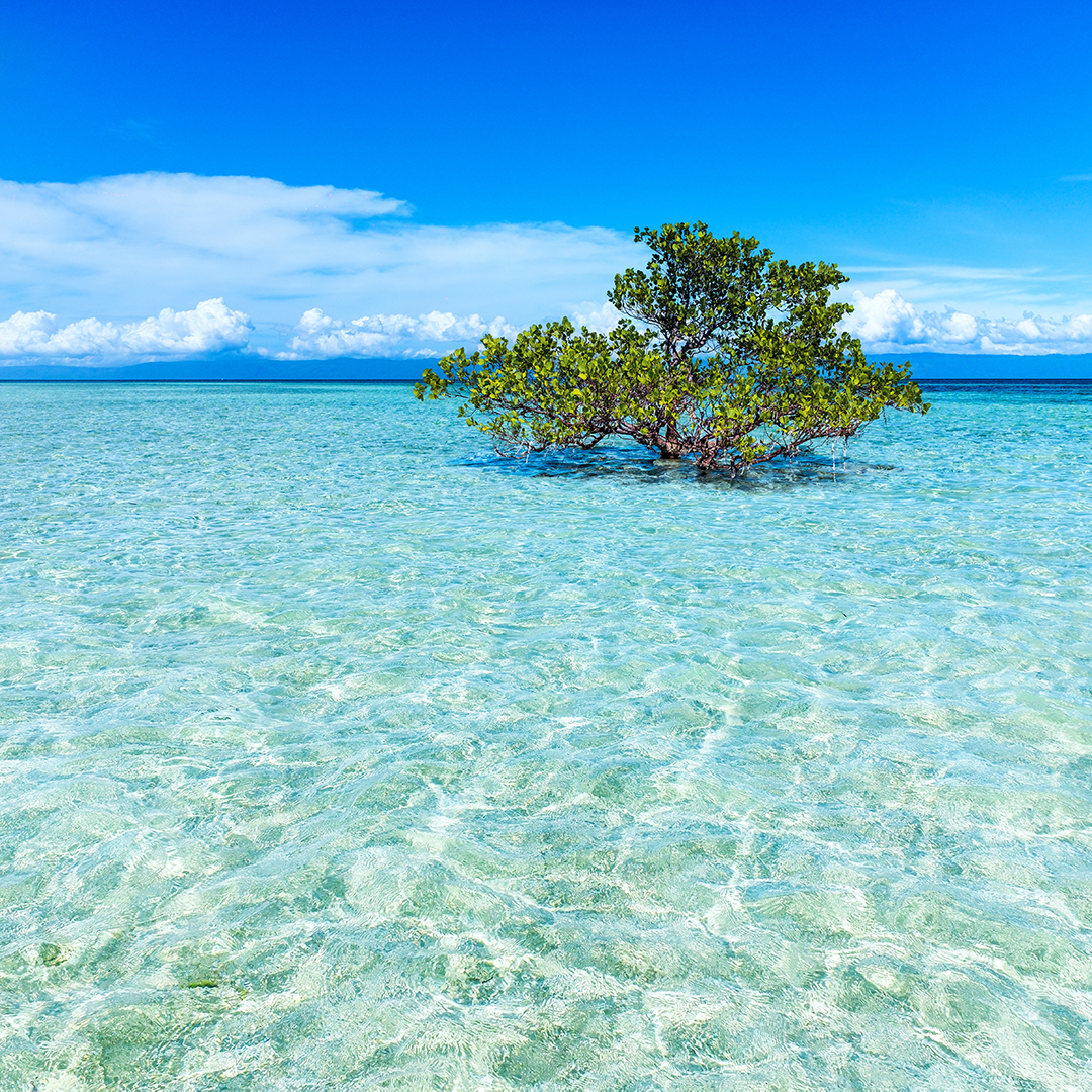 philippine beaches